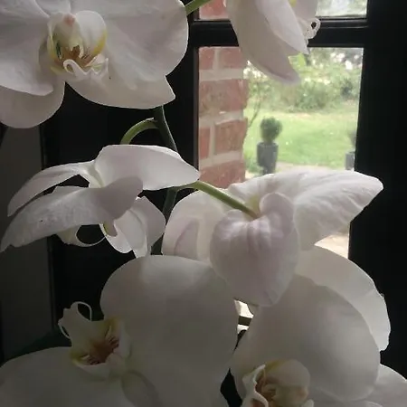 Jules Verne Couette-café *